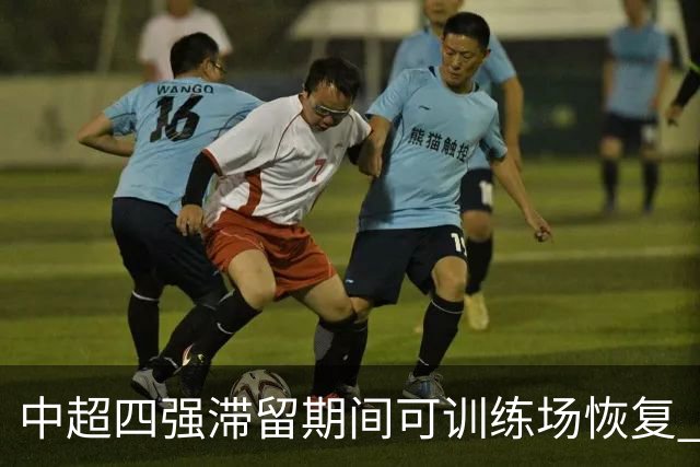 中超四强滞留期间可训练场恢复 上港感谢足协努力